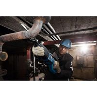 саблени триони - 64431 вида