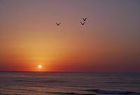 балнеохотел - 36854 разновидности