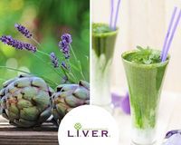 детоксикация - 83535 разновидности