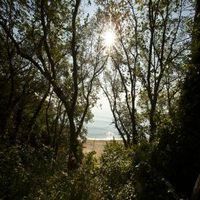 хотели с минерална вода - 51599 селекции
