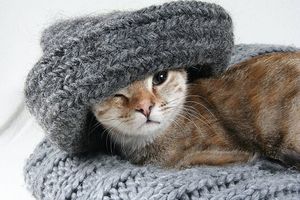 инфрачервено отопление - 39646 клиенти инфрачервено отопление - 77032 клиенти