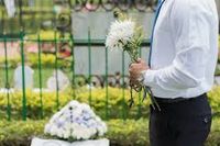 погребална агенция кипарис оборище - 16404 вид