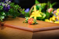 транспортиране на покойник - 94425 вида транспортиране на покойник - 86957 вида