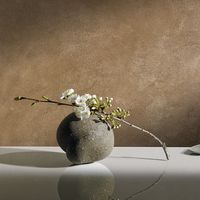 травертино мазилки - 83420 типа