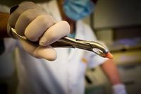 ортопедия - 59097 клиенти