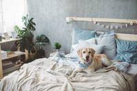 ъглови дивани - 73024 вида