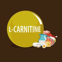 л карнитин - 67223 клиенти