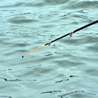 макари за риболов - 9591 цени