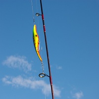 макари за риболов - 13642 вида