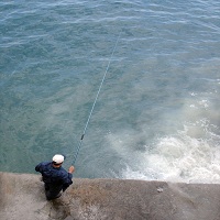 макари за риболов - 68207 вида