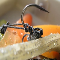 макари за риболов - 31458 варианти