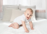 скринове - 93952 възможности