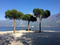 албуми за бебе - 40474 комбинации