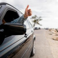 греди за багажник - 42198 вида