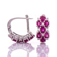 сребърни обеци - 28213 species