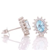 сребърни обеци - 88795 species