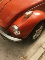 тасове - 80918 вида