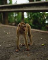 Хидроизолации на мостове - 6005 отстъпки