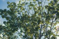 Биоразнообразия - 60609 снимки