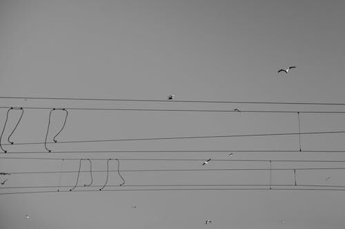 кабели силови за прехвърляне на ток - 23622 комбинации