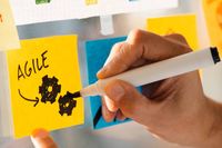 Agile Methodology - 79991 varieties