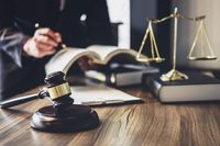 адвокат права на човека - 28613 новини