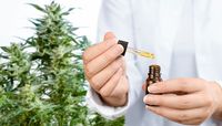 CBD масло - 58164 отстъпки