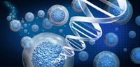 стволови клетки - 84717 варианти | Bioregeneration стволови клетки - 36821 варианти