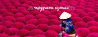 екскурзия Виетнам - 95808 типа