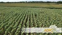 горско стопанство - 43897 постижения горско стопанство - 70911 постижения