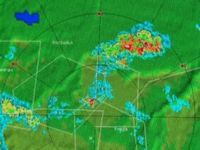 говедовъдство - 90875 възможности