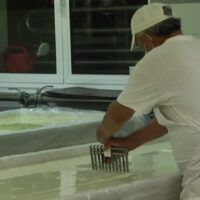 растителна защита - 1958 предложения