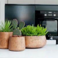 градински дивани - 37632 оферти