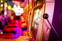Online Casino Expert - 33166 the species