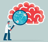 периферна нервна система - 24265 промоции