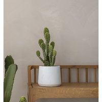 шезлонги - 71829 снимки