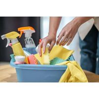 основно почистване - 51183 клиенти