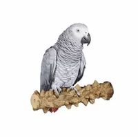 Играчки за папагали - 92223 разновидности