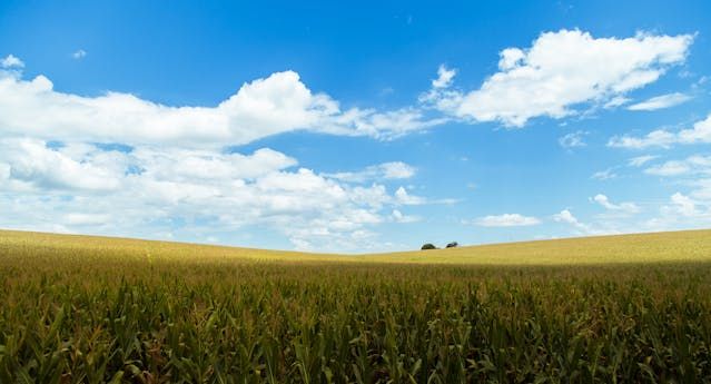 видео новини - 27500 типа