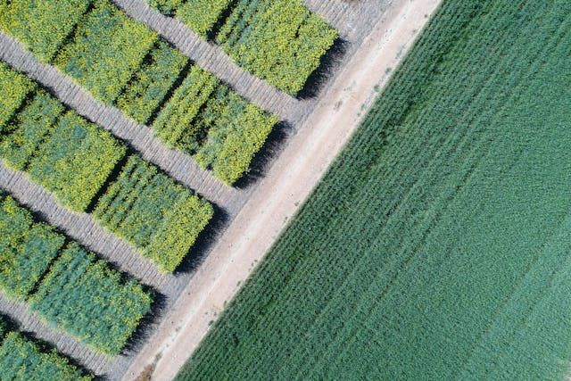 видео новини - 95277 възможности