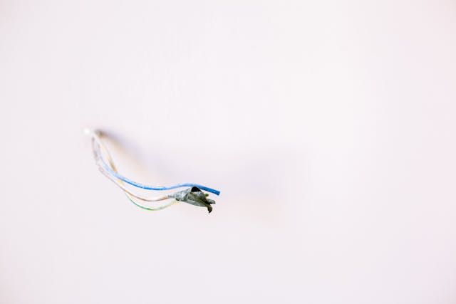 Lead Wire - 86787 prices