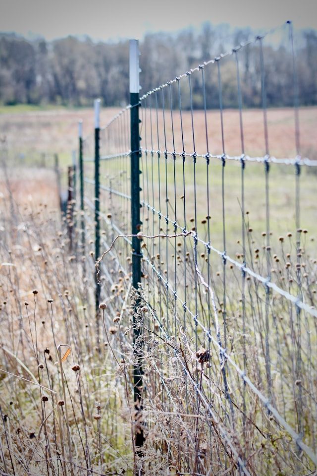 метални огради - 73969 снимки