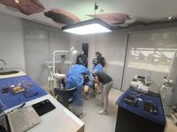 изтрити зъби - 29529 разновидности