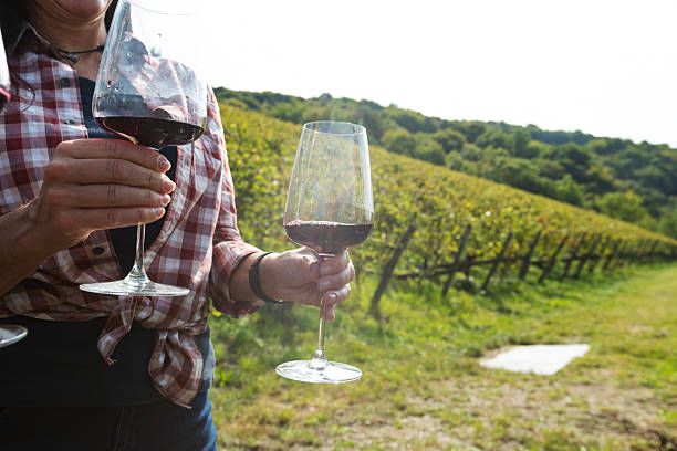 монтепулчано вино - 57771 снимки