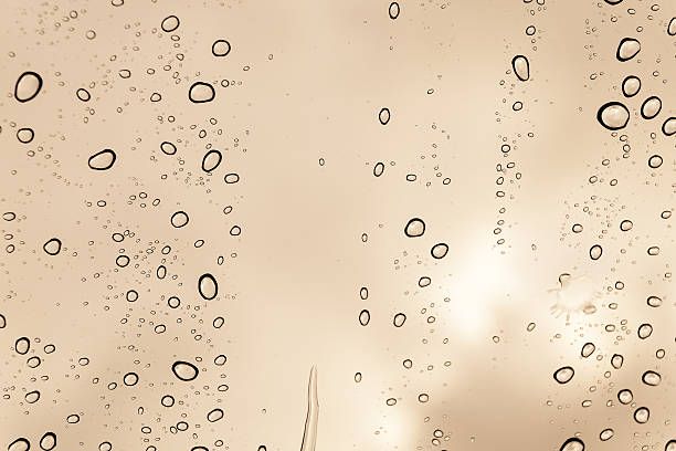 пенливо вино - 91835 възможности