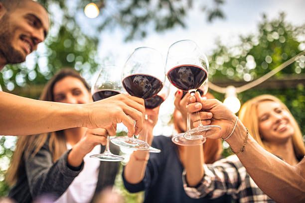 примитиво - 12074 цени примитиво - 91722 цени