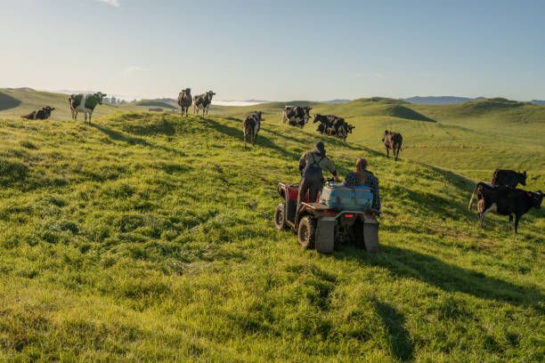 агро новини - 97506 отстъпки