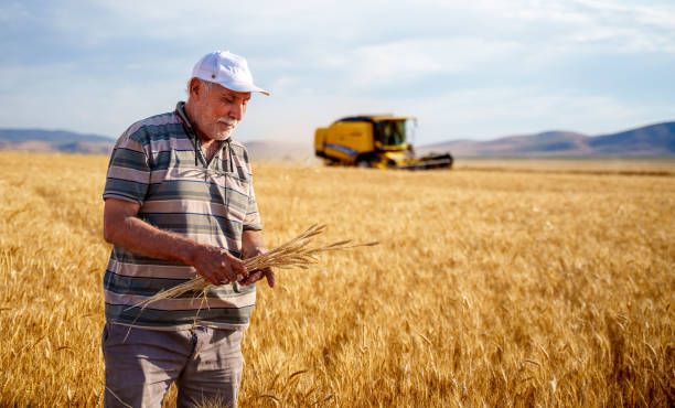 агро новини - 85938 награди