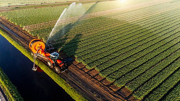 ССА - 56569 типа | agrovest.bg ССА - 57065 типа